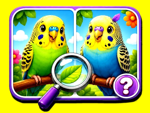 Budgie Spot the Difference gameplay